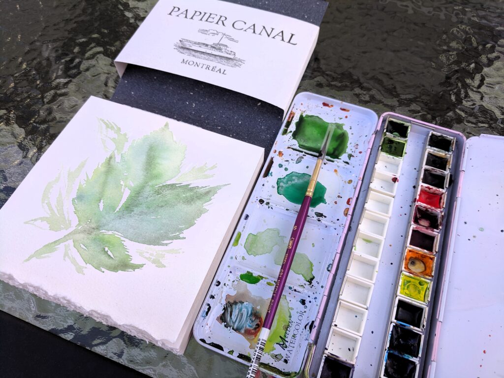 Artist Toolkit Examples by Emi. Photo of a watercolour palette.